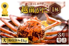 越前がに本場の越前町からお届け！ 越前がに 浜茹で 大サイズ（生で約0.9～1kg） × 1杯 約2人前 食べ応え十分！ 食べ方しおり付き【福井県 越前町 雄 ズワイガニ ボイル 冷蔵 越前ガニ 越前かに 越前カニ ずわいがに ずわい蟹 かに カニ 蟹】【3月発送分】希望日指定可 備考欄に希望日をご記入ください [e57-x001_03]
