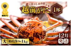 越前がに本場の越前町からお届け！ 越前がに 浜茹で 大サイズ（生で約0.9～1kg） × 1杯 約2人前 食べ応え十分！かにの食べ方しおり付き【かに カニ 蟹】【福井県 越前町 雄 ズワイガニ ボイル 冷蔵 越前ガニ 越前かに 越前カニ ずわいがに ずわい蟹 かに カニ 蟹】【12月発送分】希望日指定可 備考欄に希望日をご記入ください [e57-x001_12]