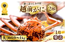 越前がに本場の越前町からお届け！ 越前がに 浜茹で 大サイズ（生で約0.9～1kg） × 2杯 約4人前 食べ応え十分！かにの食べ方しおり付き【かに カニ 蟹】【福井県 越前町 雄 ズワイガニ ボイル 冷蔵 越前ガニ 越前かに 越前カニ ずわいがに ずわい蟹 かに カニ 蟹】【1月発送分】希望日指定可 備考欄に希望日をご記入ください [e57-x002_01]