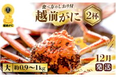 越前がに本場の越前町からお届け！ 越前がに 浜茹で 大サイズ（生で約0.9～1kg） × 2杯 約4人前 食べ応え十分！かにの食べ方しおり付き【かに カニ 蟹】【福井県 越前町 雄 ズワイガニ ボイル 冷蔵 越前ガニ 越前かに 越前カニ ずわいがに ずわい蟹 かに カニ 蟹】【12月発送分】希望日指定可 備考欄に希望日をご記入ください [e57-x002_12]