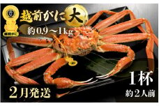 越前がに本場の越前町からお届け！越前がに 浜茹で 大サイズ（生で約0.9～1kg） × 1杯 約2人前 食べ応えあり！【かに カニ 蟹】【福井県 越前町 雄 ズワイガニ ボイル 冷蔵 越前ガニ 越前かに 越前カニ ずわいがに ずわい蟹 かに カニ 蟹】【2月発送分】希望日指定可 備考欄に希望日をご記入ください [e49-x002_02]