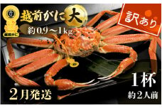 【訳あり】越前がに本場の越前町からお届け！越前がに 浜茹で 大サイズ（生で約0.9～1kg） × 1杯 約2人前 食べ応えあり！【かに カニ 蟹】【福井県 越前町 雄 ズワイガニ ボイル 冷蔵 越前ガニ 越前かに 越前カニ ずわいがに ずわい蟹 かに カニ 蟹】【2月発送分】希望日指定可 備考欄に希望日をご記入ください [e49-x001_02]