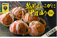 産地直送！越前せいこ蟹 甲羅盛り「身出し」セット 5杯 鮮度にこだわり「冷蔵」発送！旨味満足【雌 ズワイガニ】【越前がに せいこがに セイコガニ セコガニ ボイル むき身 かに カニ 蟹 福井県】【12月発送分】希望日指定可 備考欄に希望日をご記入ください [e49-x005_12]