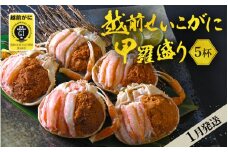 産地直送！越前せいこ蟹 甲羅盛り「身出し」セット 5杯 鮮度にこだわり「冷蔵」発送！旨味満足【雌 ズワイガニ】【越前がに せいこがに セイコガニ セコガニ ボイル むき身 かに カニ 蟹 福井県】【1月発送分】希望日指定可 備考欄に希望日をご記入ください [e49-x005_01]