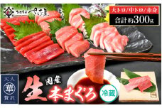 生 本マグロ まぐろ三昧 おためし セット 合計 約300g「大トロ・中トロ・赤身」各 約100g（計3柵） 【本まぐろ マグロ まぐろ 大とろ 中とろ 冷蔵 お取り寄せ グルメ】 [e04-a083]
