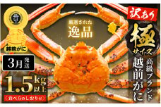 【訳あり】数量限定 シーズン最後のかに 越前がに本場の越前町からお届け！ 越前がに 浜茹で 極サイズ（生で1.5kg以上） × 1杯 味は「極」同様！かにの食べ方しおり付き【かに カニ 蟹】【福井県 越前町 雄 ズワイガニ ボイル 冷蔵 越前ガニ 越前かに 越前カニ ずわいがに ずわい蟹 かに カニ 蟹】【3月発送分】希望日指定可 備考欄に希望日をご記入ください [e14-x013_03]