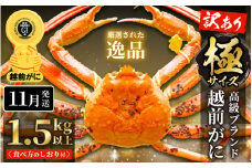 【訳あり】越前がに本場の越前町からお届け！ 越前がに 浜茹で 極サイズ（生で1.5kg以上） × 1杯 味は「極」同様！かにの食べ方しおり付き【かに カニ 蟹】【福井県 越前町 雄 ズワイガニ ボイル 冷蔵 越前ガニ 越前かに 越前カニ ずわいがに ずわい蟹 かに カニ 蟹】【11月発送分】希望日指定可 備考欄に希望日をご記入ください [e14-x013_11]