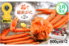 越前がに本場の越前町からお届け！ 越前がに 浜茹で 大サイズ（生で800g前後） × 2杯 かにの食べ方しおり かにスプーン付き【かに カニ 蟹】【福井県 越前町 雄 ズワイガニ ボイル 冷蔵 越前ガニ 越前かに 越前カニ ずわいがに ずわい蟹 かに カニ 蟹】【3月発送分】希望日指定可 備考欄に希望日をご記入ください [e15-x011_03]