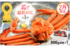 越前がに本場の越前町からお届け！ 越前がに 浜茹で 大サイズ（生で800g前後） × 1杯 かにの食べ方しおり かにスプーン付き【かに カニ 蟹】【福井県 越前町 雄 ズワイガニ ボイル 冷蔵 越前ガニ 越前かに 越前カニ ずわいがに ずわい蟹 かに カニ 蟹】【2月発送分】希望日指定可 備考欄に希望日をご記入ください [e15-x010_02]