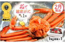 越前がに本場の越前町からお届け！ 越前がに 浜茹で 特大サイズ（生で1kg前後） × 1杯 かにの食べ方しおり かにスプーン付き【かに カニ 蟹】【福井県 越前町 雄 ズワイガニ ボイル 冷蔵 越前ガニ 越前かに 越前カニ ずわいがに ずわい蟹 かに カニ 蟹】【2月発送分】希望日指定可 備考欄に希望日をご記入ください [e15-x012_02]