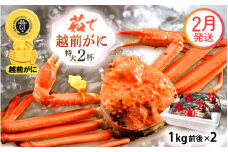 越前がに本場の越前町からお届け！ 越前がに 浜茹で 特大サイズ（生で1kg前後） × 2杯 かにの食べ方しおり かにスプーン付き【かに カニ 蟹】【福井県 越前町 雄 ズワイガニ ボイル 冷蔵 越前ガニ 越前かに 越前カニ ずわいがに ずわい蟹 かに カニ 蟹】【2月発送分】希望日指定可 備考欄に希望日をご記入ください [e15-x013_02]