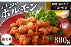 【訳あり】国産 黒毛和牛 ぷりっぷり ホルモン 800g（200g × 4袋）特製タレ味付き 小分け【 小腸 】 [e02-a016] 