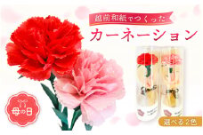 【受付期限4月30日】【母の日】カーネーション 花 ギフト 越前和紙 花一輪挿し 【2025年5月発送】「永遠の感謝」 メッセージ 【カラー：赤色】【 フラワーギフト 和紙花 手軽 コンパクト 枯れない  メッセージカード １万円以下】 [e51-a004_01]