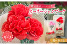 【受付期限4月30日】【母の日】カーネーション ブーケ 花 ギフト 越前和紙 花 【2025年5月発送】「永遠の感謝」 メッセージ【カラー：赤色】【 フラワーギフト 和紙花 手軽 コンパクト 枯れない  メッセージカード 】 [e51-a005_01]