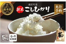 【新米・先行予約】定期便≪6ヶ月連続お届け≫ お米 こしひかり 5kg×6回（計30kg）（精米）令和7年 福井県産 炊きたての美味しさを追求したお米【米 コメ kome 5キロ 6か月 計 30キロ 精米 白米 人気品種 便利 】【2025年10月下旬以降順次発送開始！】 [e47-j004]