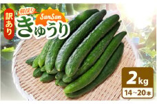 【訳あり】数量・期間限定 太陽の光をサンサンと浴びた「SunSun きゅうり」 2kg以上 農場より 産地直送 露地栽培 送料無料 サラダ 漬物 野菜 やさい 旬 新鮮 サラダ キュウリ 胡瓜 [e35-a029]