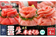 定期便≪4ケ月連続お届け≫生本まぐろ 食べ比べ 定期便 計4回 おすすめ！まぐろの王様！【本まぐろ マグロ まぐろ 大とろ 中トロ 赤身 刺身 冷蔵 お取り寄せ グルメ】 [e04-c017]