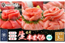 定期便≪3ヶ月連続お届け≫生本まぐろ 食べ比べ 定期便 計3回 おすすめ！まぐろの王様！【本まぐろ マグロ まぐろ 大とろ 中トロ 赤身 刺身 冷蔵 お取り寄せ グルメ】 [e04-b028]