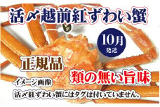 活〆越前 紅ずわいがに × 1杯 旨味満載！！【浜茹で 紅ズワイガニ 紅ずわい蟹 かに カニ 蟹 姿 ボイル 冷蔵 福井県】【10月発送分】希望日指定不可 [e37-x001_10b]