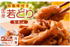 国産鶏もも肉　特製タレ漬け　計750g以上（250g × 3袋）小分け　便利　5～8人前 / 焼くだけ簡単 [e03-a029]