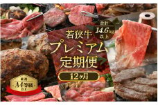 定期便 ≪12ヶ月連続お届け≫ 肉の定期便 肉好き満足！和牛 若狭牛ボリューム満点 厳選プレミアム 食べ比べ計14.6kg以上【 国産牛 ロース すき焼き しゃぶしゃぶ ハンバーグ サーロイン 焼肉 バーべキュー 毎月届くお楽しみ 】 [e02-r001]