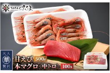 お刺身 セット 甘海老 250g × 2P ＆ 本まぐろ 中トロ 100g × 1P【福井県 冷凍 小分け 刺身 えび エビ 海老 マグロ 鮪】 [e04-a100]