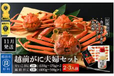 ≪浜茹で≫越前がに夫婦セット（2～3人前）かに酢 食べ方しおり スプーン付き【雄 雌 ズワイガニ 越前ガニ せいこがに 姿 ボイル 冷蔵 かに カニ 蟹 福井県】【11月発送分】希望日指定可 備考欄に希望日をご記入ください [e04-x019_11]