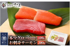 お刺身 セット サーモン 100g × 2P ＆ 本まぐろ 中トロ 100g ×1P【福井県 冷凍 小分け 刺身  サーモン 鮭 サケ さけ マグロ 鮪 】 [e04-a089]