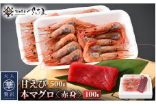 お刺身 セット 甘海老 250g × 2P ＆ 本まぐろ 赤身 100g × 1P 【福井県 冷凍 小分け 刺身 えび エビ 海老 マグロ 鮪】 [e04-a101]