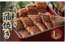国産 うなぎ 蒲焼き （無頭） 1尾 200g～250g  自家製 こだわり 蒲焼きたれ1個・山椒1個付き 【ウナギ かばやき さんしょう うなぎ ウナギ 鰻 蒲焼き 土用丑の日 食べ物 グルメ 国産 おかず 】 [e29-a001]