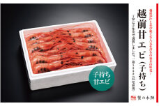 越前甘エビ500g（35尾前後） 子持ち [e56-a003]