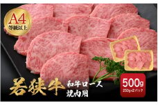 若狭牛 和牛ロース焼肉用 計500g（250g × 2パック）福井県産 ロースA4等級 以上を厳選！【牛肉 黒毛和牛 黒毛 和牛 冷凍 小分け バーべキュー グルメ】 [e02-c011]