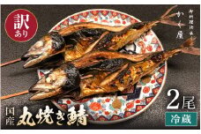 【訳あり】豪快！国産 サバ 丸焼き2尾 【冷蔵 焼きさば 本格焼き魚 手軽 家庭 惣菜 酒肴 ご飯のお供 福井 郷土料理】 [e59-a003]