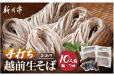  冷蔵 生そば 10人前(だし付き) 越前蕎麦 こだわり (保存料・防腐剤・添加物不使用） 美味しいそばのゆで方ポイント付 【ソバ  訳あり 麺 お届け希望日指定可能  年末  ざるそば  冷凍保存  】  [e21-a005]