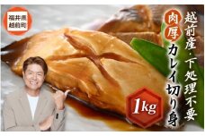 越前産 カレイ 切り身 たっぷり1kg バラ凍結 最短5営業日以内発送！ 使い勝手抜群！福井県網元漁師が厳選！肉厚な越前産カレイ（無塩） 【煮つけ用 かれい 鰈 塩焼き 焼き魚 煮付け バラ凍結便利 惣菜 冷凍食品 おかず】 [e15-a057]
