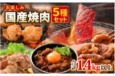 国産 お楽しみ 焼肉セット 合計1.4kg以上【牛肉ロース 味付け肉 牛ホルモン 豚肉 鶏肉 小分け 便利 BBQセット】 [e03-b004]