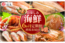 定期便 ≪6ヶ月連続お届け≫ お楽しみ 海鮮 セット【カニ ずわいがに えび 明太子 鯖 カレイ漬け丼 冷凍 小分け 】 [e15-g002]