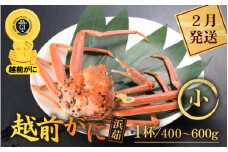 越前がに本場の越前町からお届け！ 越前がに 浜茹で 小サイズ（生で400～600g） × 1杯【かに カニ 蟹】【福井県 越前町 雄 ズワイガニ ボイル 冷蔵 越前ガニ 越前かに 越前カニ ずわいがに ずわい蟹 かに カニ 蟹】【2月発送分】希望日指定可 備考欄に希望日をご記入ください [e43-x005_02]