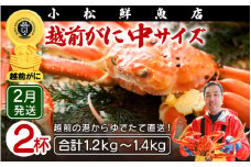 越前がに本場の越前町からお届け！ 越前がに≪浜茹で≫中サイズ（生で600～700g） × 2杯【かに カニ 蟹】地元で喜ばれるゆで加減・塩加減で越前の港から直送！【福井県 越前町 雄 ズワイガニ ボイル 冷蔵 越前ガニ 越前かに 越前カニ ずわいがに ずわい蟹 かに カニ 蟹】【2月発送分】希望日指定可 備考欄に希望日をご記入ください [e23-x009_02]