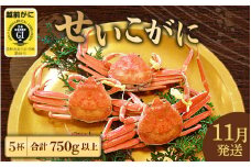 ≪浜茹で≫ 越前せいこがに 5杯（1杯150g以上)【雌 ズワイガニ】【カニ 越前ガニ セコガニ カニみそ】【11月発送分】希望日指定可 備考欄に希望日をご記入ください [e23-x007_11]