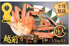 越前がに本場の越前町からお届け！ 越前がに 浜茹で 特大サイズ（生で1.3kg以上） × 1杯【かに カニ 蟹】【福井県 越前町 雄 ズワイガニ ボイル 冷蔵 越前ガニ 越前かに 越前カニ ずわいがに ずわい蟹 かに カニ 蟹】【2月発送分】希望日指定可 備考欄に希望日をご記入ください [e43-x007_02]