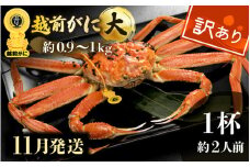 【訳あり】越前がに本場の越前町からお届け！越前がに 浜茹で 大サイズ（生で約0.9～1kg） × 1杯 約2人前 食べ応えあり！【かに カニ 蟹】【福井県 越前町 雄 ズワイガニ ボイル 冷蔵 越前ガニ 越前かに 越前カニ ずわいがに ずわい蟹 かに カニ 蟹】【11月発送分】希望日指定可 備考欄に希望日をご記入ください [e49-x001_11]