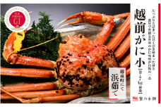 冬の日本海の味 浜茹で【越前がに 小 0.7kg前後】11月～翌3月順次発送 [e56-x004]