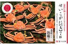浜茹で【越前せいこがに 大 250g前後】7杯セット 11～12月順次発送 [e56-x003]