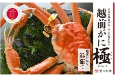 冬の日本海の味 浜茹で【越前がに 極】11月～翌3月順次発送 [e56-x007]