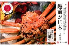冬の日本海の味 浜茹で【越前がに 大 1.3kg前後】11月～翌3月順次発送 [e56-x006]