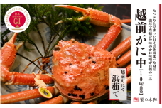 冬の日本海の味 浜茹で【越前がに 中 1.0kg前後】11月～翌3月順次発送 [e56-x005]