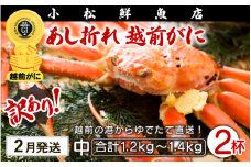 【訳あり】足折れ 越前がに 中サイズ × 2杯（1杯600～700g）地元で喜ばれるゆで加減・塩加減で越前の港から直送！【雄 ズワイガニ ずわいがに 姿 ボイル 冷蔵 福井県】【2月発送分】希望日指定可 備考欄に希望日をご記入ください [e23-x012_02]