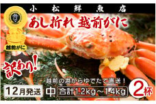 【訳あり】足折れ 越前がに 中サイズ × 2杯（1杯600～700g）地元で喜ばれるゆで加減・塩加減で越前の港から直送！【雄 ズワイガニ ずわいがに 姿 ボイル 冷蔵 福井県】【12月発送分】希望日指定可 備考欄に希望日をご記入ください [e23-x012_12]