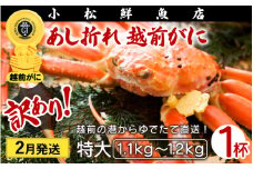 【訳あり】足折れ 越前がに 特大サイズ × 1杯（1.1～1.2kg）地元で喜ばれるゆで加減・塩加減で越前の港から直送！【雄 ズワイガニ ずわいがに 姿 ボイル 冷蔵 福井県】【2月発送分】希望日指定可 備考欄に希望日をご記入ください [e23-x014_02]